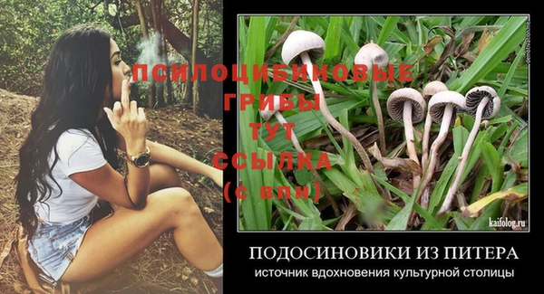 марки nbome Аркадак