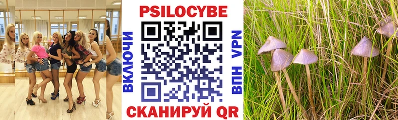Галлюциногенные грибы Magic Shrooms цены наркотик Пласт
