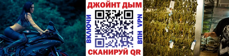 наркота  Пласт  Бошки марихуана ГИДРОПОН 